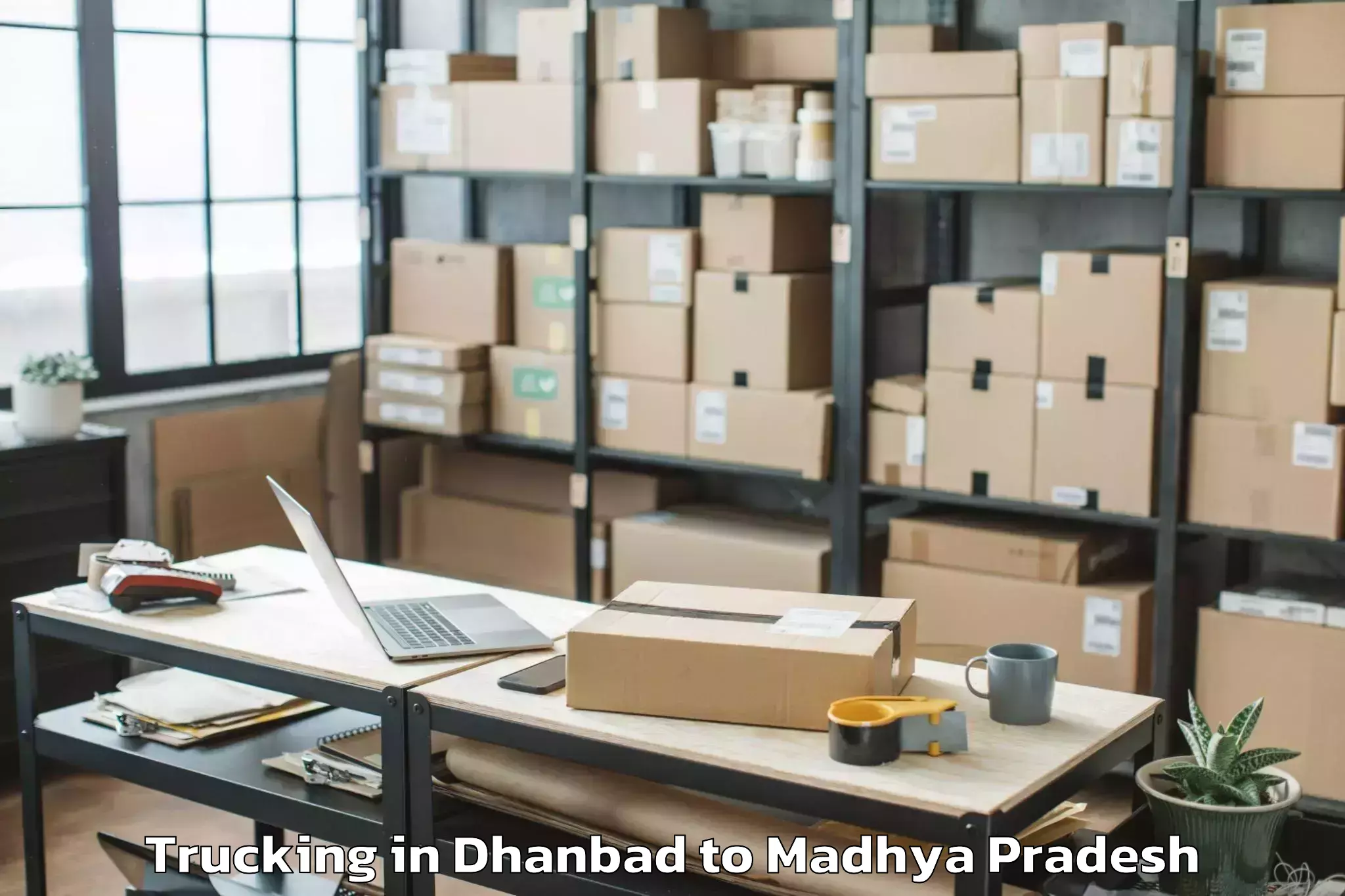 Easy Dhanbad to Vijayraghavgarh Trucking Booking